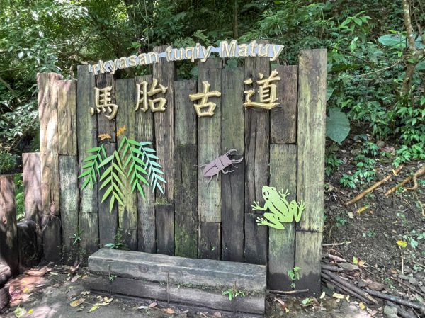 2022森遊竹縣 皮皮獅同樂會 - 馬胎古道 07091806779