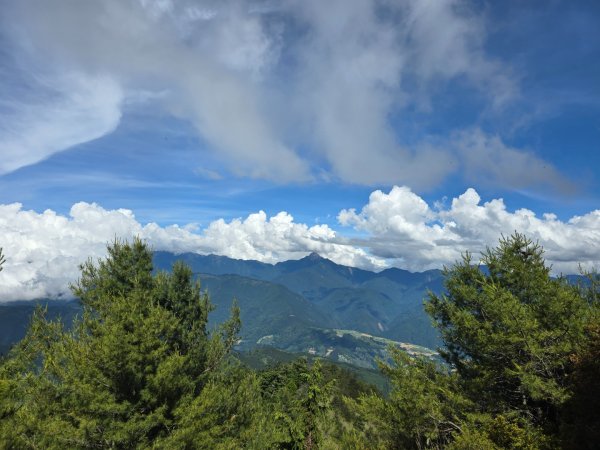 志佳陽大山（回程走高繞環山獵人登山步道）2542176