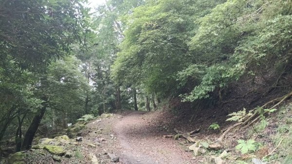 20251010 大雪山國家森林遊樂區 - 船型山林道 登 烏石坑山2911051