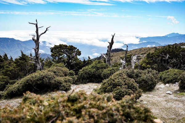 戒茂斯上嘉明湖三天兩夜2769462