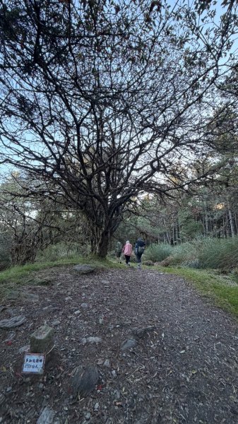 中央尖山 2025 11/7 三天兩夜2935753