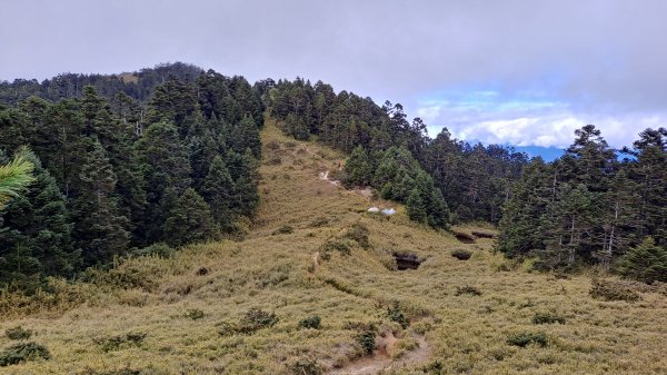 合歡西峰單攻1216878