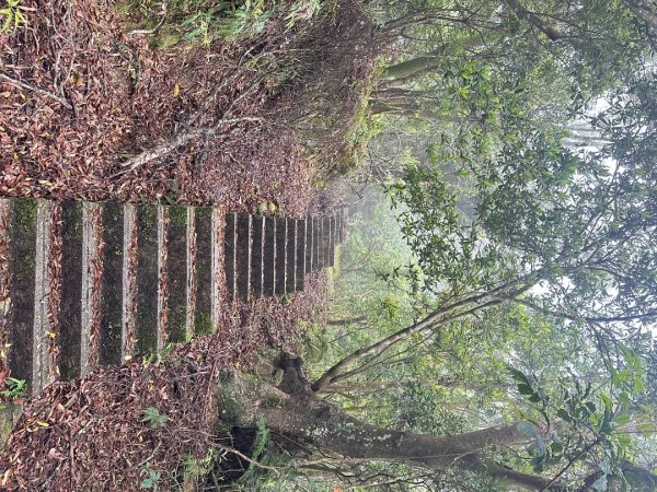 皇帝殿202603293035821