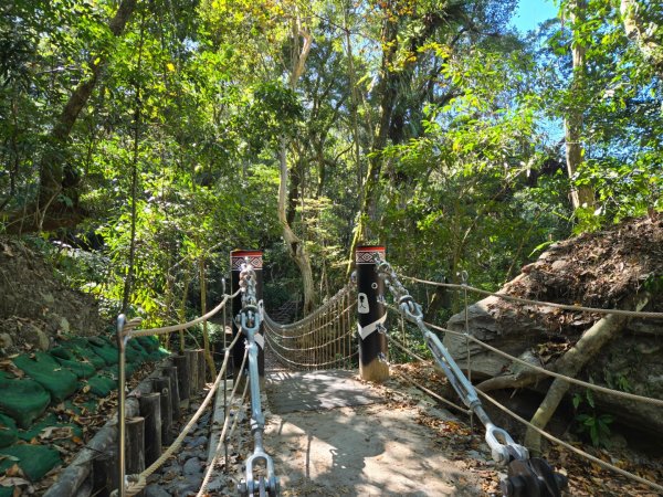 雪山坑登山步道~巨人之手2948732