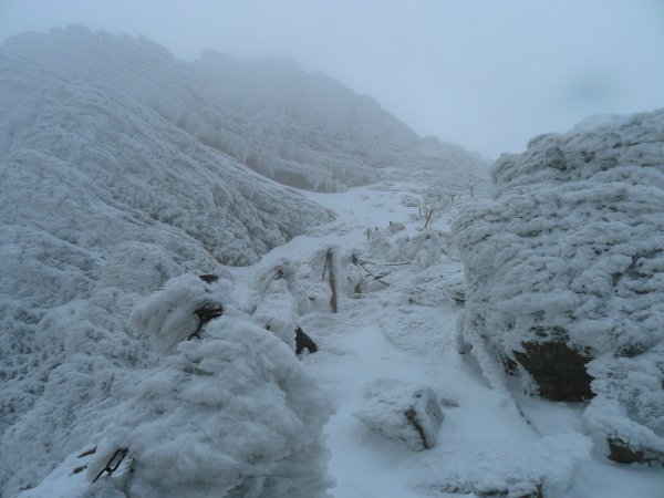 【新聞】冬季登山知多少，平安自律不可少，玉管處雪季期間不受理單日往返之申請