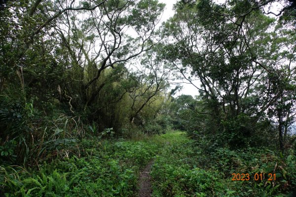 新竹 芎林 雞寮坑山、下橫坑山、芎蕉窩山、牛欄窩山2002536