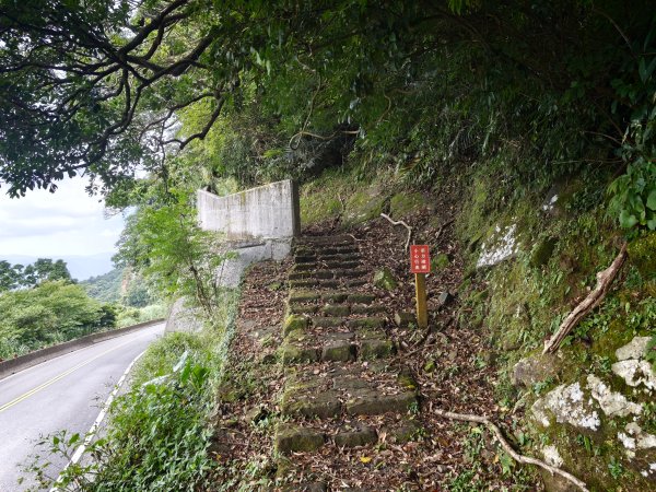 [淡蘭古道] 2026_0531 北路第四段_金字碑古道(中)-山羌3071062