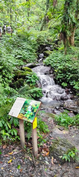 聖母登山步道2599816