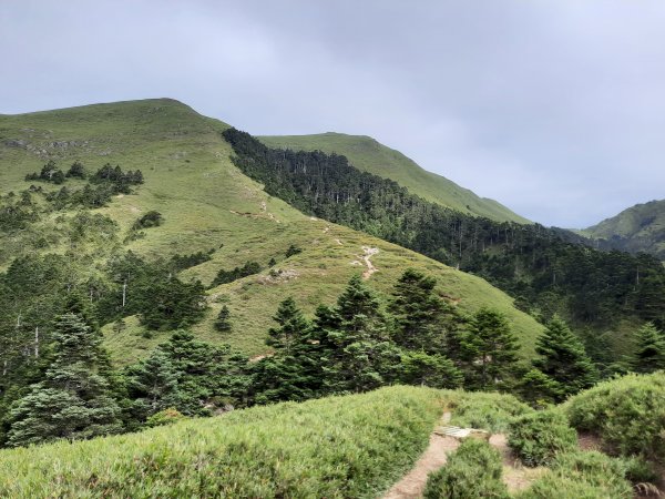 奇萊南峰一日單攻(屯原登山口2點40分起登)