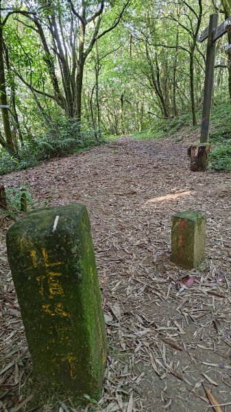 淡蘭古道中路2532758