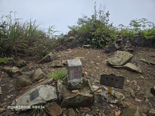 2026-05-01鳥嘴山(上島山)步道