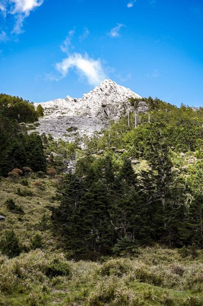 帝王之座-南湖東峰線｜南湖東峰＋陶塞峰＋馬比杉山2884919