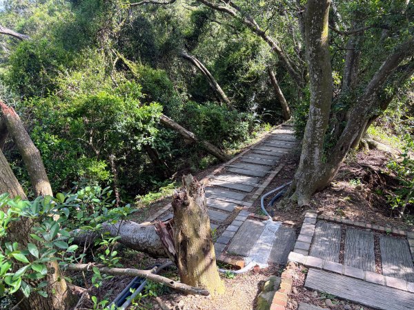 犁頭山、文山步道2835646