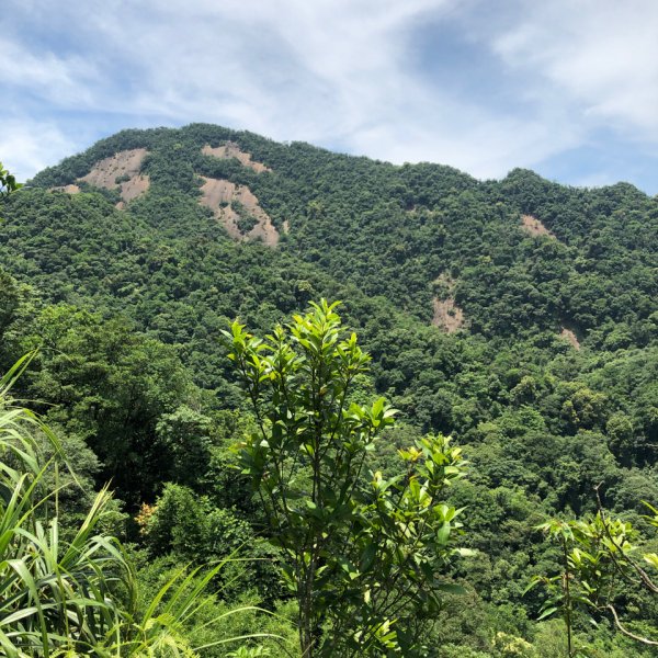 臭頭山 到 東勢格山1009238