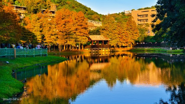 #花卉試驗中心 #永公路500巷 #平菁街42巷 #原住民公園 #士林官邸 1/42976585