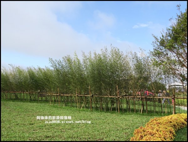 2019桃園農業博覽會693358