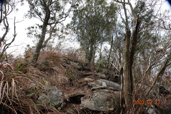 高雄 茂林 德德山2051183