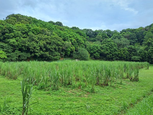 2026森遊竹縣：寶山迴龍步道，環湖步道3107261