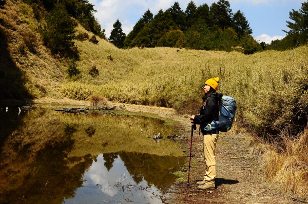 武法奈尾山天巒池872518