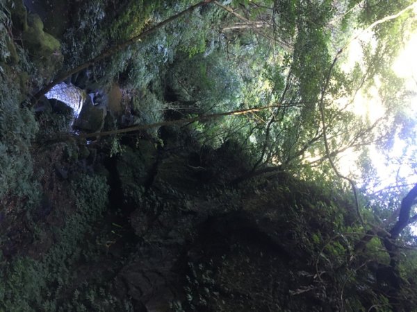 六寮崙山、雞罩山、白雞山8字走2371091