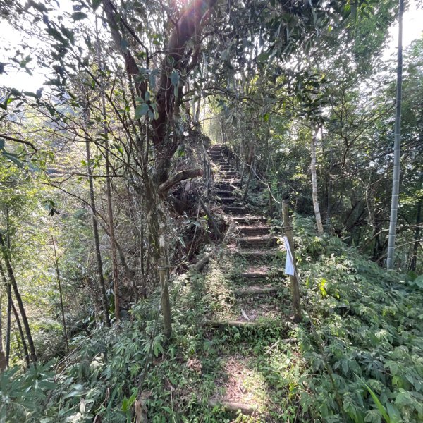 20250822_集集大山（南投小百岳）2941199