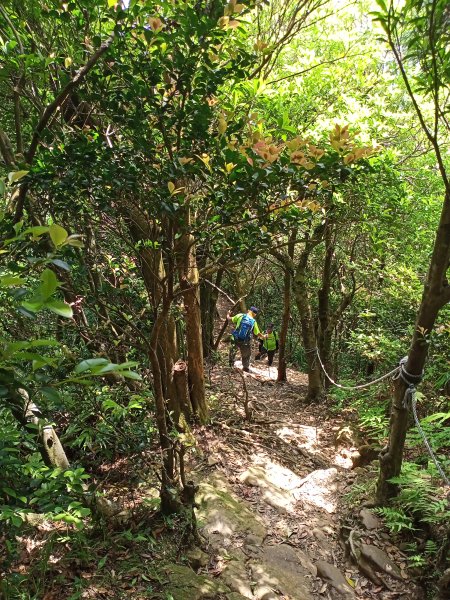 【小百岳集起來】#017 二格山登山步道(栳寮線) →猴山岳步道→草湳1692517