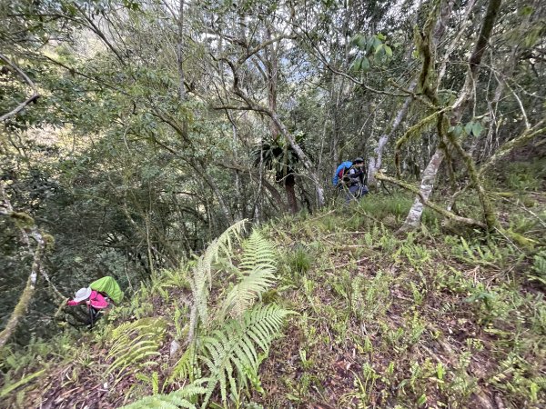 鍛鍊海鼠O型縱走 (上)1314490