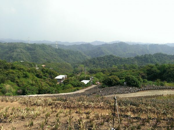 阿罩霧山步道331061