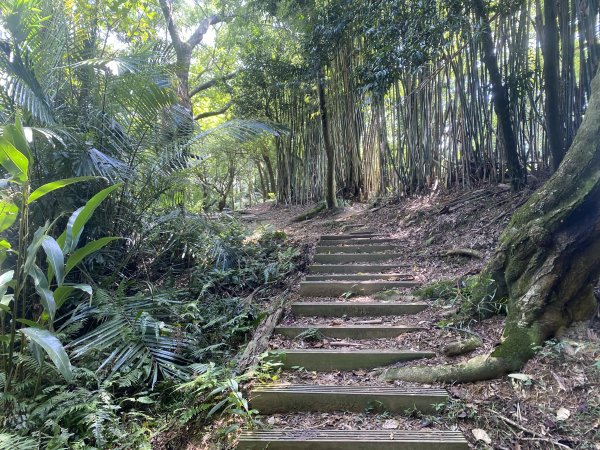 2025微笑山線大縱走尋寶集章任務-Ep.03【鳶山山系】鳶山彩壁段2893705