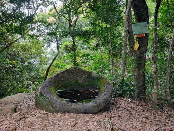 金面山/白石山-小百岳#21-桃園市大溪區2247883