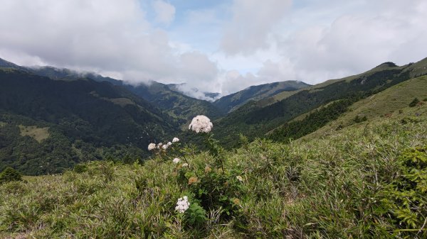 合歡北峰1774788