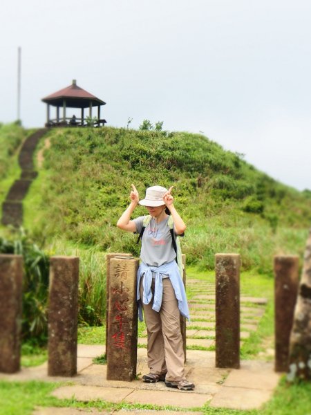 《新北》草原牛群｜貢寮桃源谷步道(內寮線)20180517