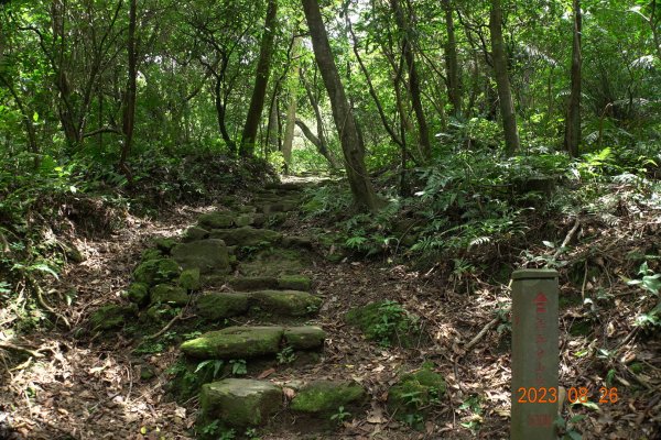 基隆 頂寮山、龍門山、五分山、頂子寮山2265983