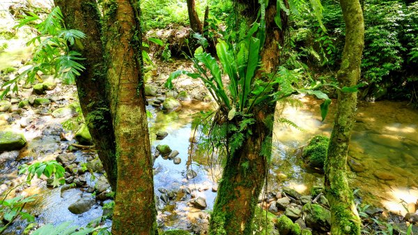 畝畝山。又上說2768146