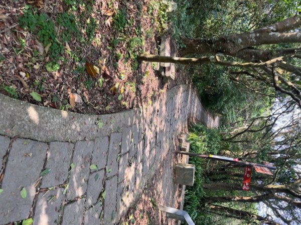 觀音山硬漢嶺2081850