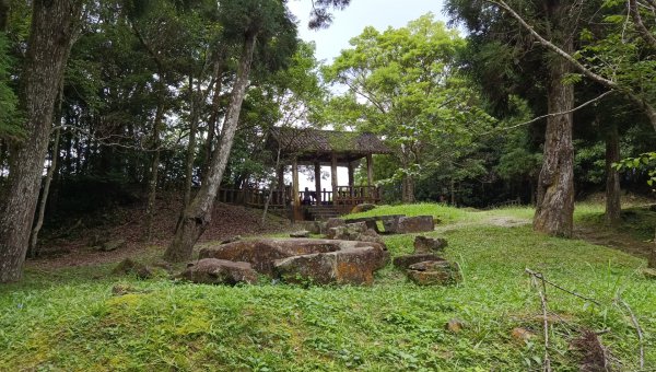 (姨婆趴趴走)第十六集:東滿步道，台灣百大必訪步道2220525