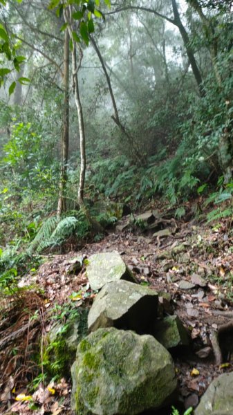 坡很陡的波津加山(老四)1834988