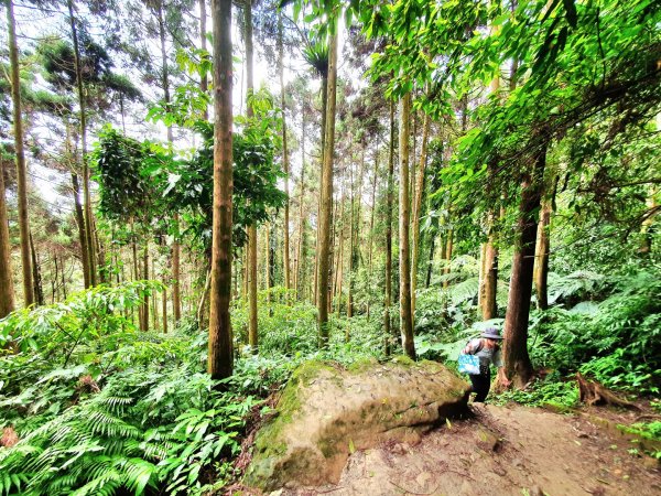 新竹民都有山，鵝公髻山，五指山，桃園赫威神木群步道，赫威山，高坡彩虹瀑布，苗栗山塘背步道，小北埔山1685630