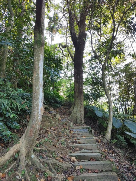 2023.12.14 土城天上山2827274