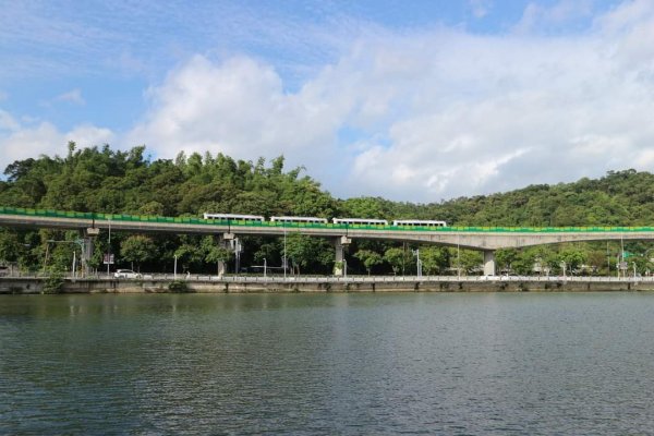 內湖 白鷺鷥山，大湖公園。昔日內湖舊八景之一，文湖線  九曲橋 錦帶橋 白鷺鷥 ，勾勒出最美一幅畫2170082