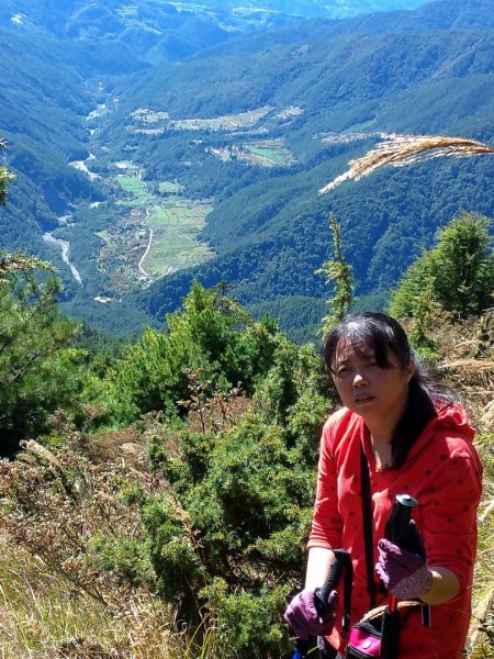 武陵四秀之桃山449048