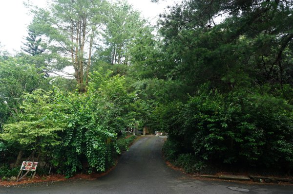 苗栗 大湖 金童山、玉女山、汶水山2806905