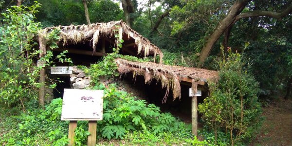 中正山步道509178