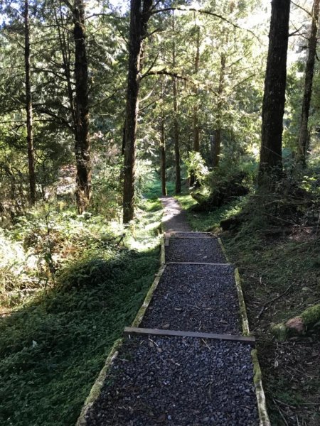 阿里山雙峰大塔山對高岳連走451423