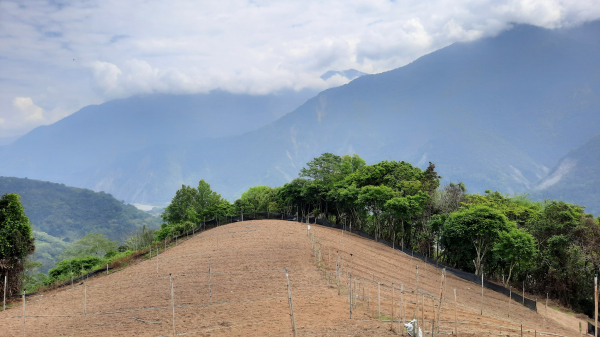 《南投》望玉山的部落｜望鄉獵人古道登望美山