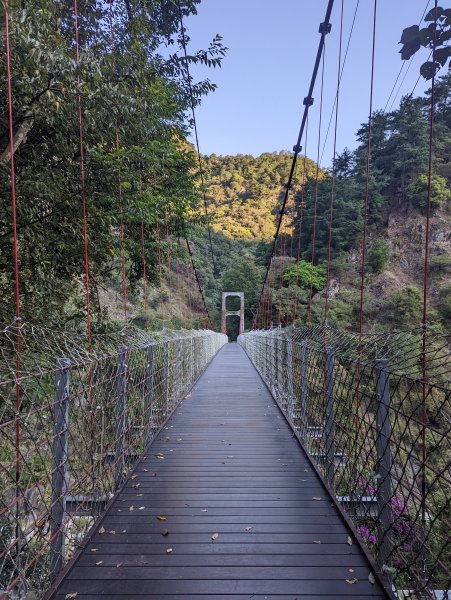 谷關七雄：有點硬陡的波津加山（捎來吊橋進、谷關吊橋出）1861379