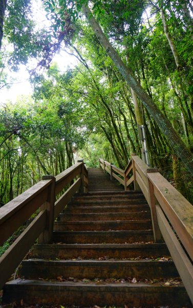 檜山巨木森林步道481597