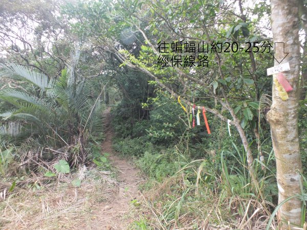 百二階古道+苕谷瀑布+逸仙山+泰和樓2734459