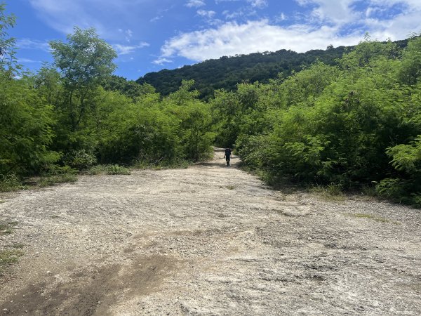 [山頂鳥40周年會員大縱走-04/15] 2024_0630 北柴山登山步道(北壽山)2540508