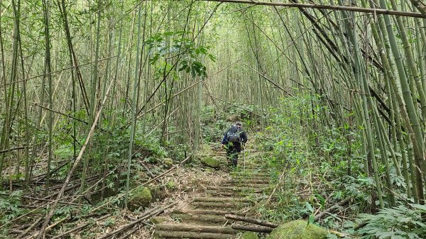 2021-1202 馬那邦山O型1535332